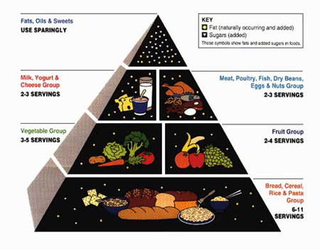 food guide pyramid